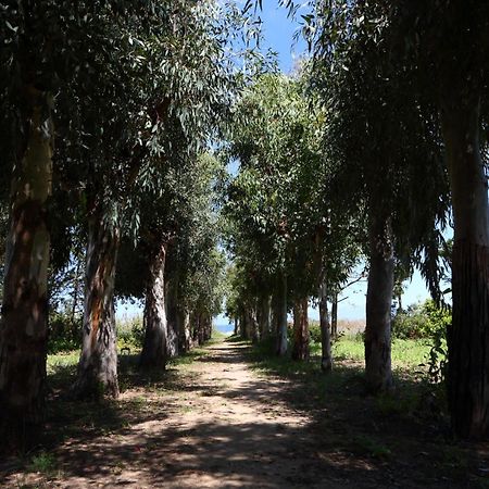 Verdemare Cefalu Bagian luar foto