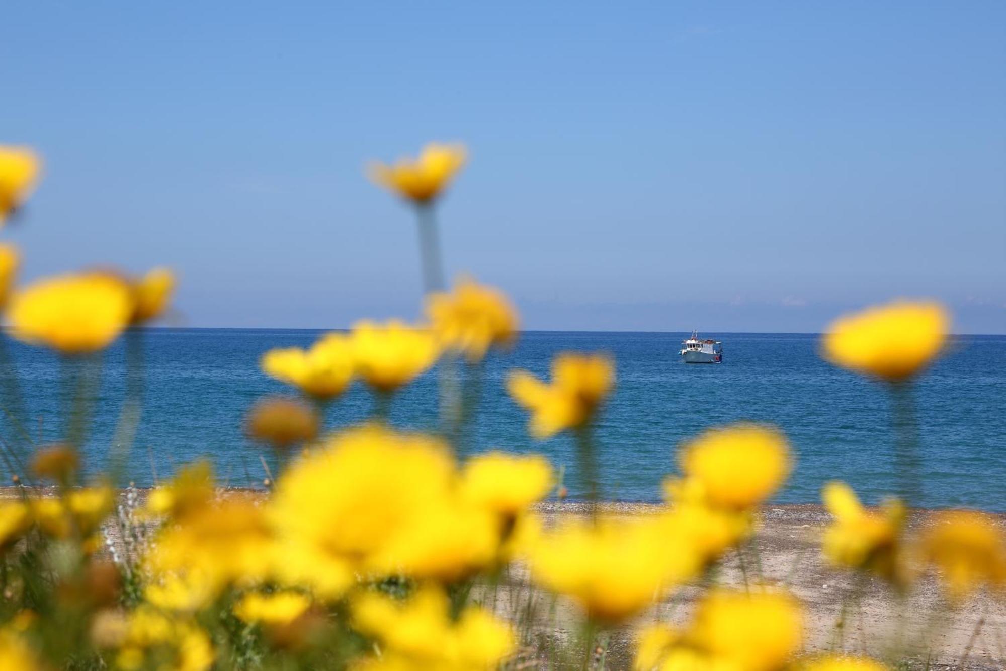 Verdemare Cefalu Bagian luar foto