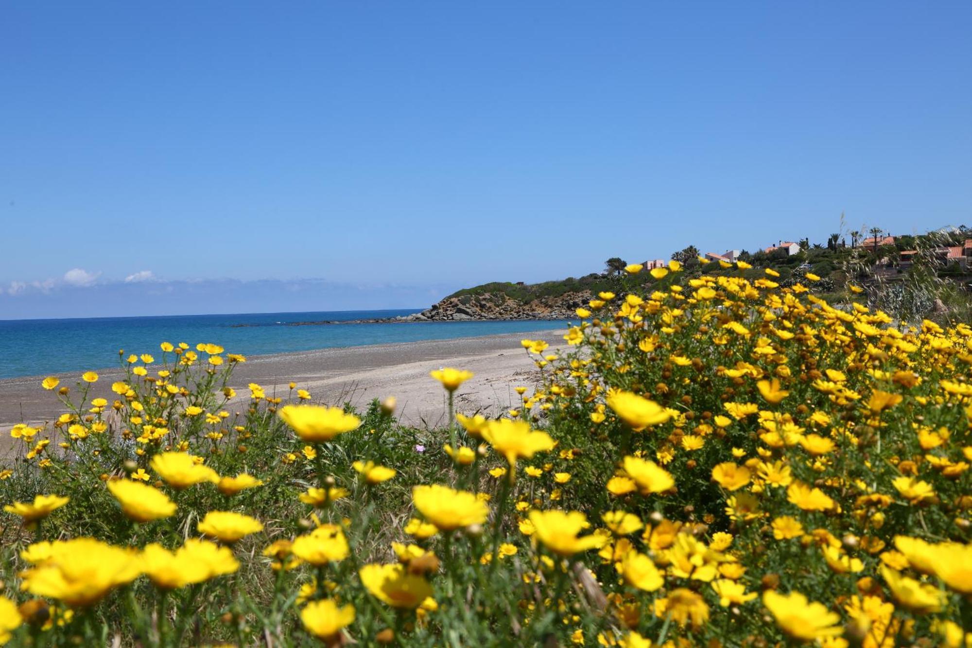 Verdemare Cefalu Bagian luar foto