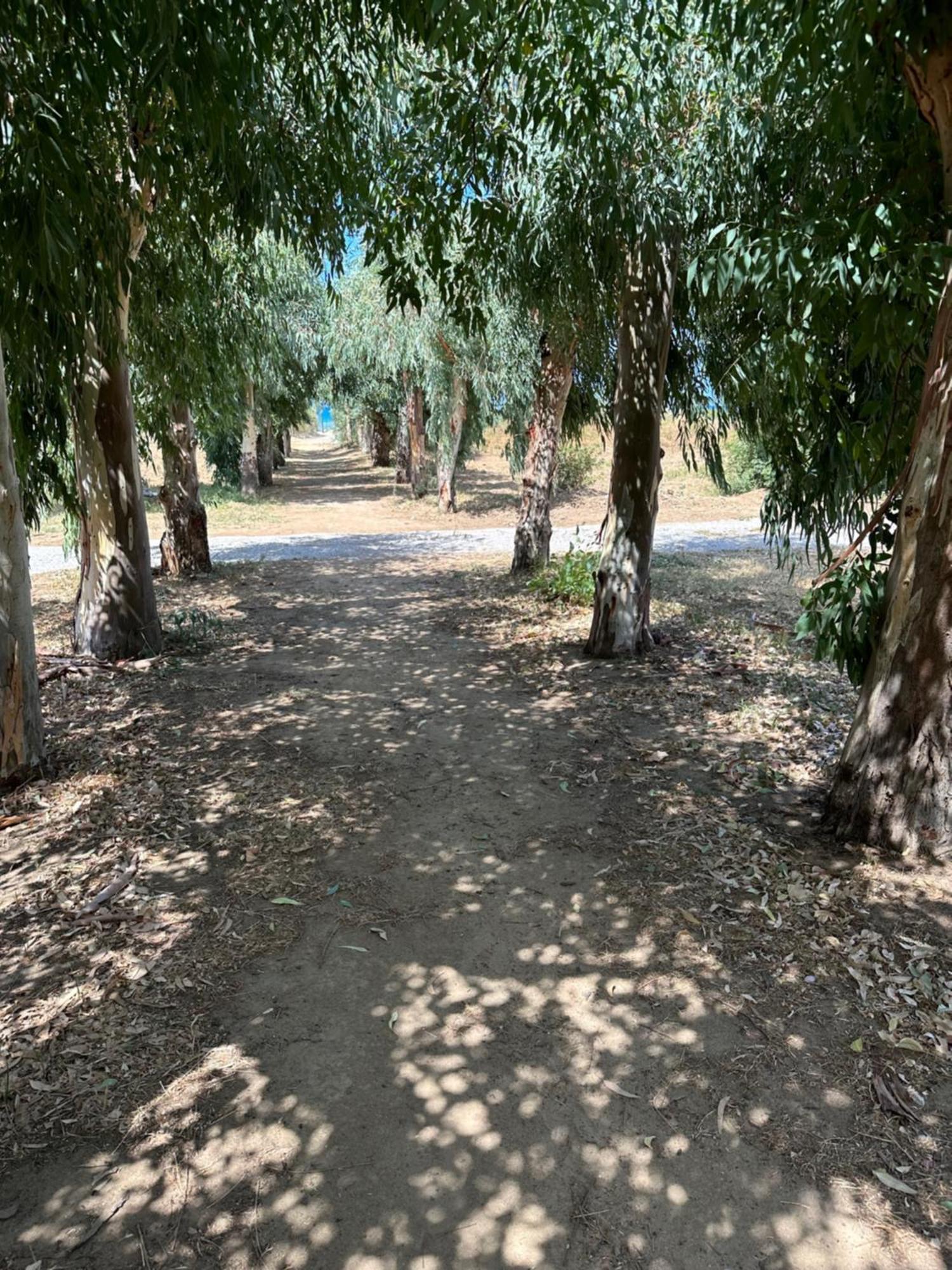 Verdemare Cefalu Bagian luar foto